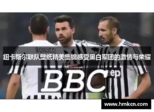 纽卡斯尔联队壁纸精美集锦感受黑白军团的激情与荣耀