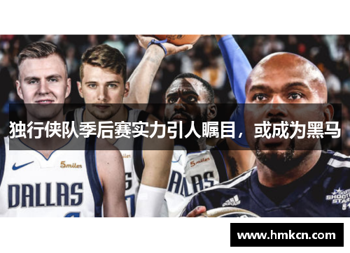 独行侠队季后赛实力引人瞩目，或成为黑马